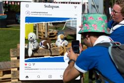 Fotokader Scouting Regio Zeeland